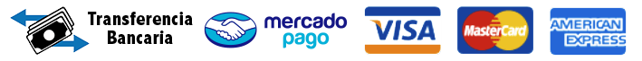 Opciones de pago para terapias con Lourdes Orozco
