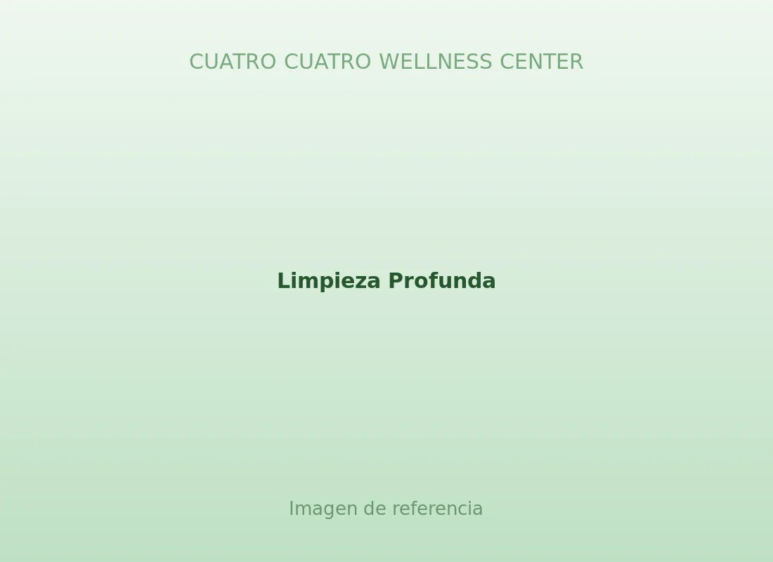 Limpieza Profunda